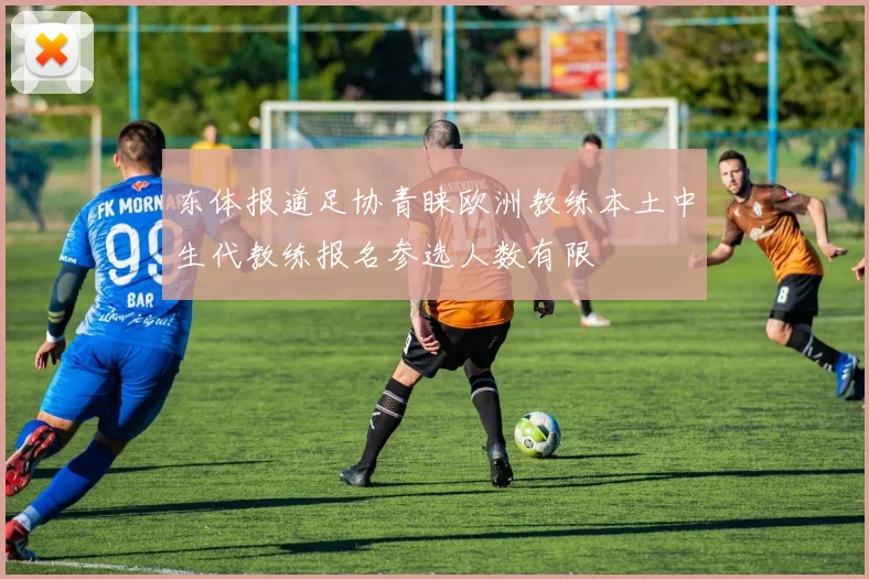 东体报道足协青睐欧洲教练本土中生代教练报名参选人数有限