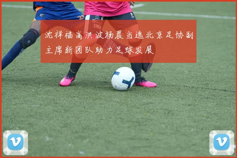 沈祥福高洪波杨晨当选北京足协副主席新团队助力足球发展