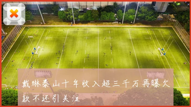 戴琳泰山十年收入超三千万再曝欠款不还引关注