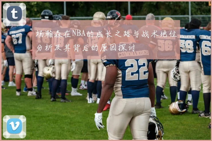 杨瀚森在NBA的成长之路与战术地位分析及其背后的原因探讨